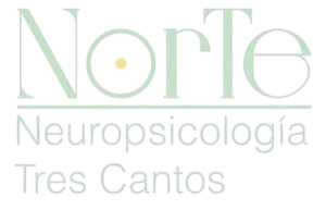 Logo norte neuropsicologia tranparente